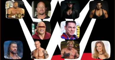 Why is WWE So Popular?